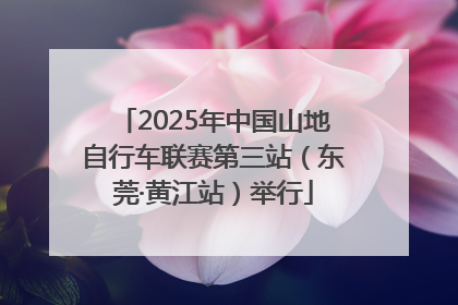 2025年中国山地自行车联赛第三站（东莞·黄江站）举行